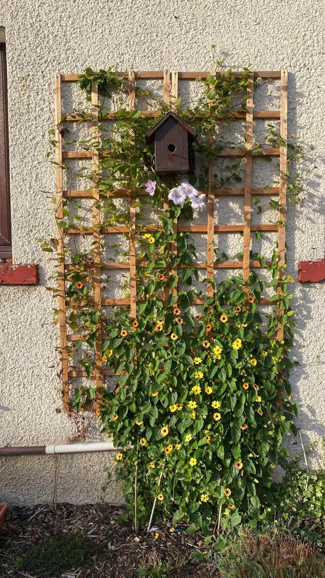 Frans Place Edinburg Exteriör bild